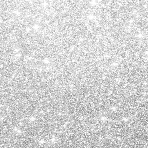 Silver Glitter photo booth backdrop